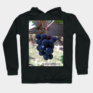 Grape Blue Bernburger Hoodie